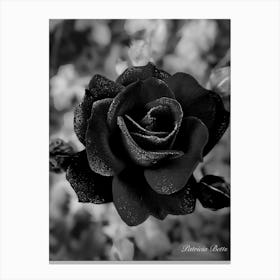 Black Rose Canvas Print