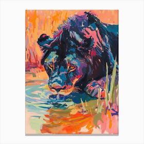 Black Lion Drinking From A Watering Hole Fauvist Painting 3 Canvas Print