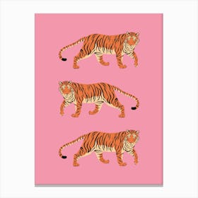 Three Tigers Canvas Print