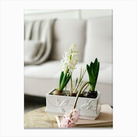 Hyacinth Canvas Print