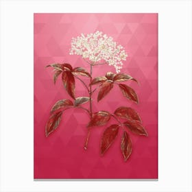 Vintage Elderberry Flowering Plant Botanical in Gold on Viva Magenta n.0068 Canvas Print