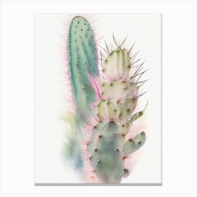 Rat Tail Cactus Pastel Watercolour 1 Canvas Print