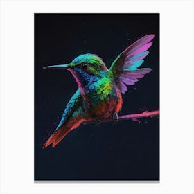 Colorful Hummingbird 1 Canvas Print