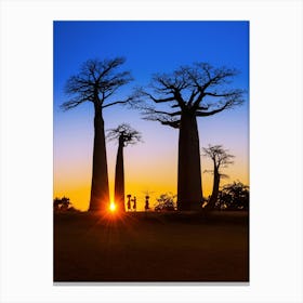 Baobab Trees in Madagascar Canvas Print