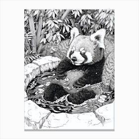 Red Panda Relaxing In A Hot Spring Ink Illustration 3 Canvas Print
