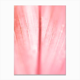 Pink Leave Canvas Print
