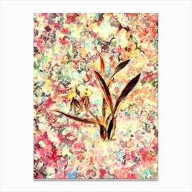 Impressionist Clamshell Orchid Botanical Painting in Blush Pink and Gold Canvas Print