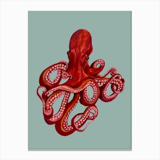 Octopus On Mint Canvas Print
