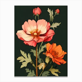 Poppies 35 Canvas Print