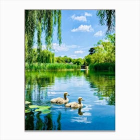 Two Swans In A Pond Canvas Print