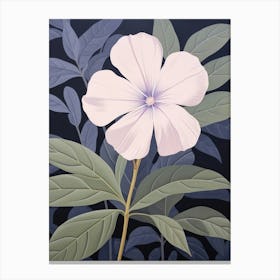 Flower Illustration Periwinkle 1 Canvas Print