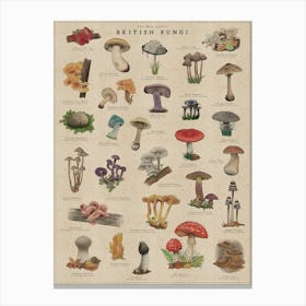 Fungi Art Magical Mushroom Print Canvas Print