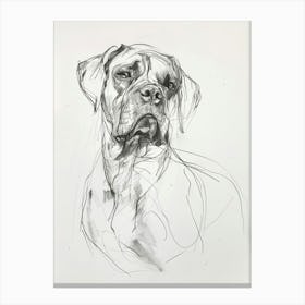 Mastiff Dog Charcoal Line Canvas Print