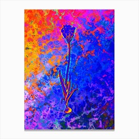 Chincherinchee Botanical in Acid Neon Pink Green and Blue n.0078 Canvas Print