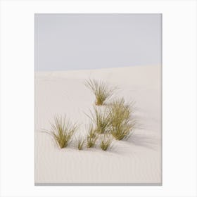 Desert Sand Grasses Canvas Print