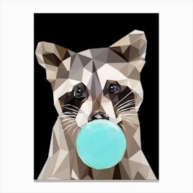 Raccoon Chewing Gum Canvas Print