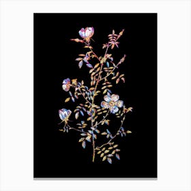 Stained Glass Hedge Rose Mosaic Botanical Illustration on Black Canvas Print