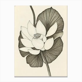 Lotus Vintage Botanical Flower Canvas Print
