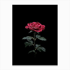 Black Rose 3 Canvas Print