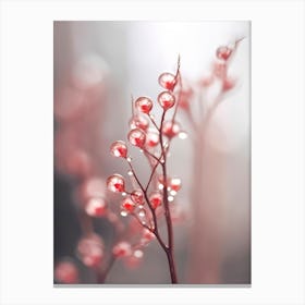 Glassy Berries Canvas Print