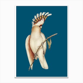 Cockatoo - Teal Canvas Print