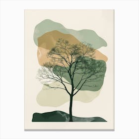 Sycamore Tree Minimal Japandi Illustration 4 Canvas Print