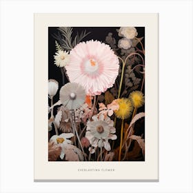 Flower Illustration Everlasting Flower 1 Poster Canvas Print