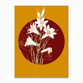 Vintage Botanical St. Bruno's Lily on Circle Red on Yellow n.0098 Canvas Print