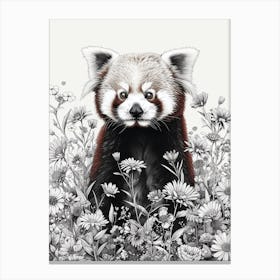 Red Panda Cub In A Field Of Flowers Ink Illustration 2 Canvas Print