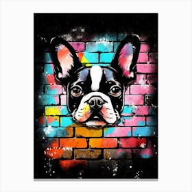 Aesthetic Boston Terrier Dog Puppy Brick Wall Graffiti Artwork Canvas Print