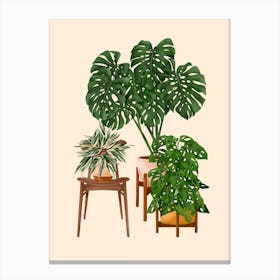 Indoor Plants 4 Canvas Print