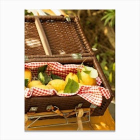 Picnic Basket Canvas Print