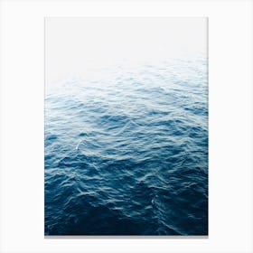 Endless Waters Canvas Print