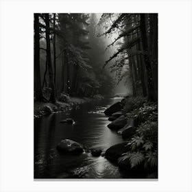 Dark Forest 1 Canvas Print