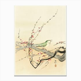 Songbird And Plum Blossom (1900 1936), Ohara Koson Canvas Print
