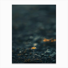 Flower In The Sand 2 Canvas Print