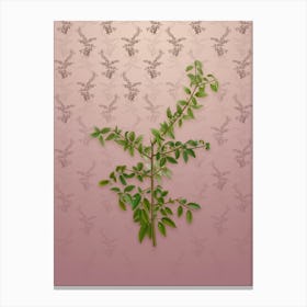 Vintage Rock Buckthorn Botanical on Dusty Pink Pattern n.1235 Canvas Print