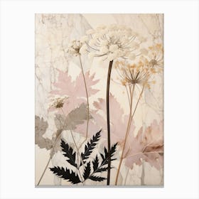 Flower Illustration Queen Annes Lace 5 Canvas Print