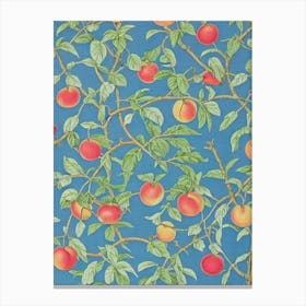 Nectarine tree Vintage Botanical Canvas Print