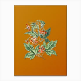 Vintage Red Loasa Flower Botanical on Sunset Orange n.0931 Canvas Print