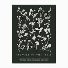 Flowers Of The Field, flower silhouettes. Canvas Print