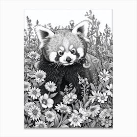 Red Panda Cub In A Field Of Flowers Ink Illustration 4 Canvas Print
