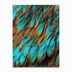 Feathers Of A Bird Canvas Print