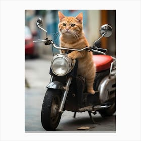 Cat On A Motorcycle Canvas Print