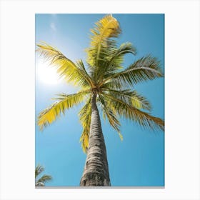 Palm Tree In The Sun 1 Canvas Print