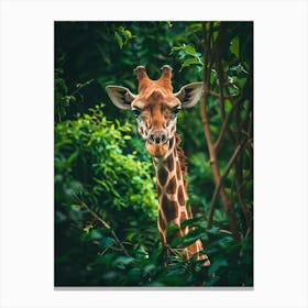 Giraffe 4 Canvas Print