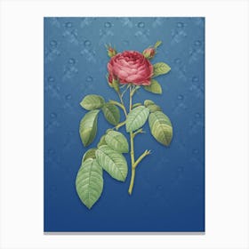 Vintage Red Gallic Rose Botanical on Bahama Blue Pattern n.0874 Canvas Print
