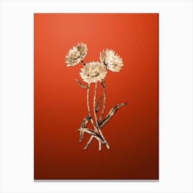 Gold Botanical Helichrysum Flower Branch on Tomato Red n.4708 Canvas Print