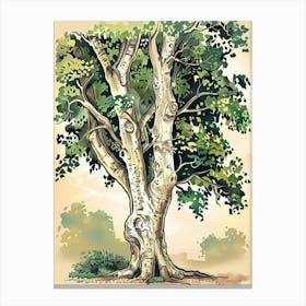 Beech Tree Storybook Illustration 4 Canvas Print
