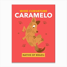 Wide Curvature Carmelo Native Of Brazil- dogs- design - template- graphics Canvas Print